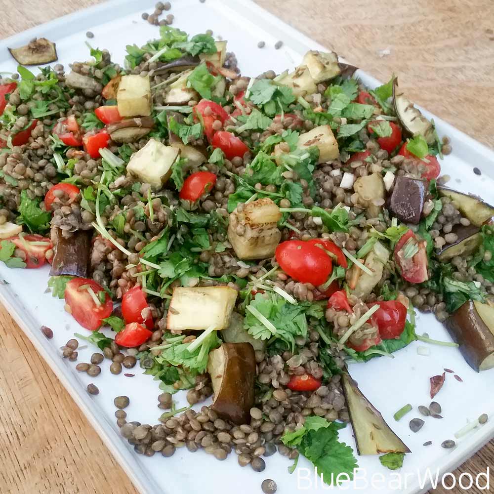 Tasty Aubergine & Lentil Salad With Fresh Mint & Coriander