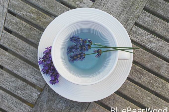 Lavender Tea