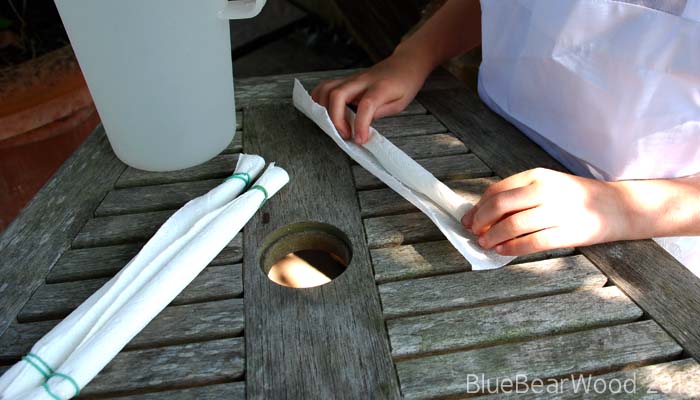 Science at Home