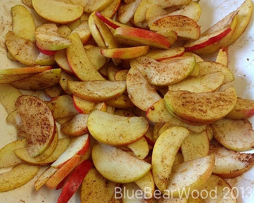 DIY Dried Apple Crisps