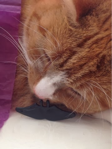 Our Beautiful Pom Pom Ginger Tabby