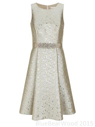 Kaliko Gold Jacquard Dress
