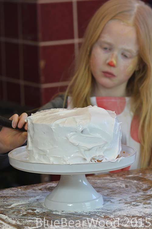 Frosted Cake