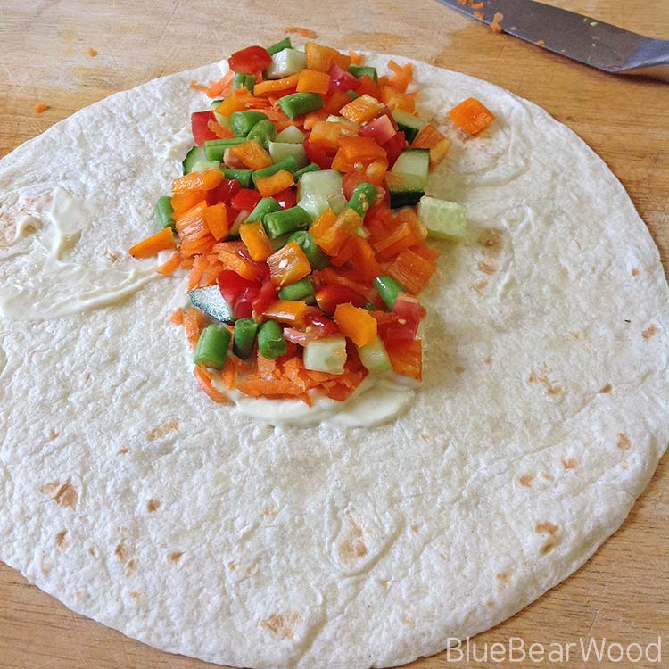 Steak Salad Wrap