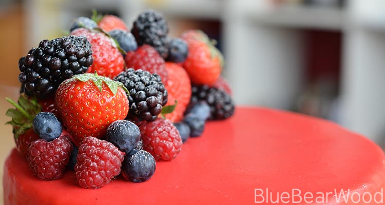 Forest Fruit Cake