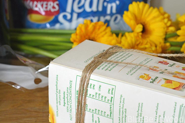 DIY Milk Carton Vase