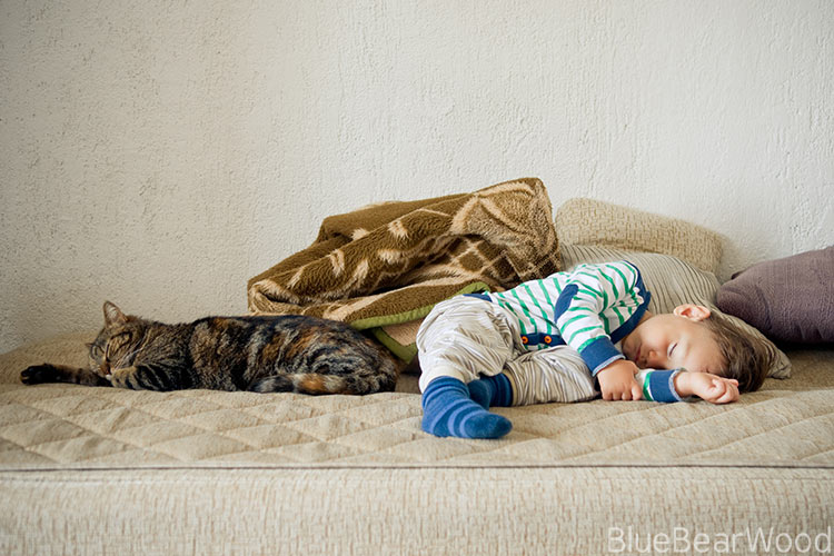 Cats and kids