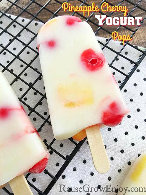 Home made popsicle