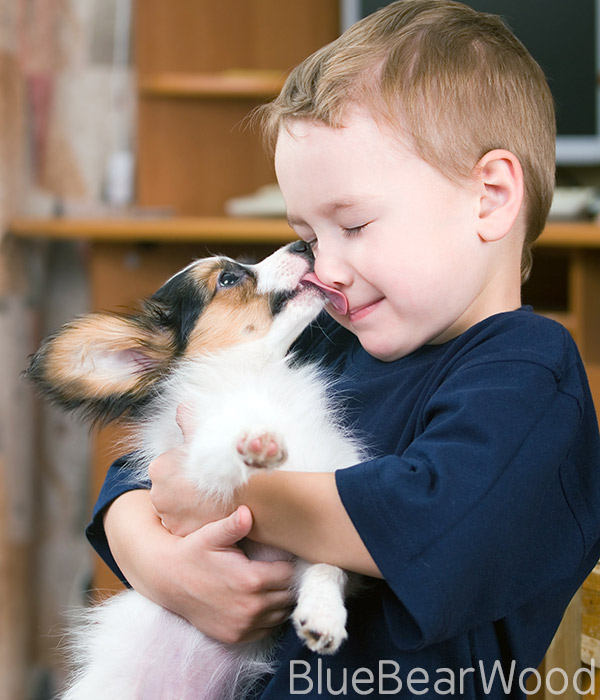 Pet Parasite Protection Doggy Hug