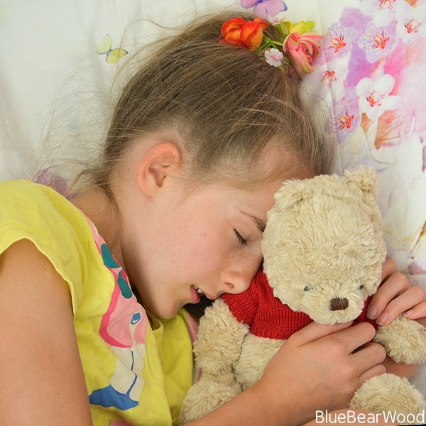 Winnie The Pooh A Soft Toy