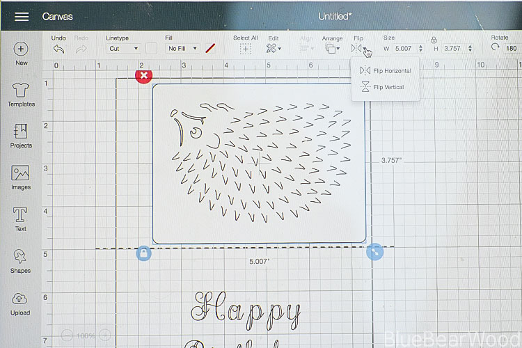 Cricut Maker Hedgehog Card
