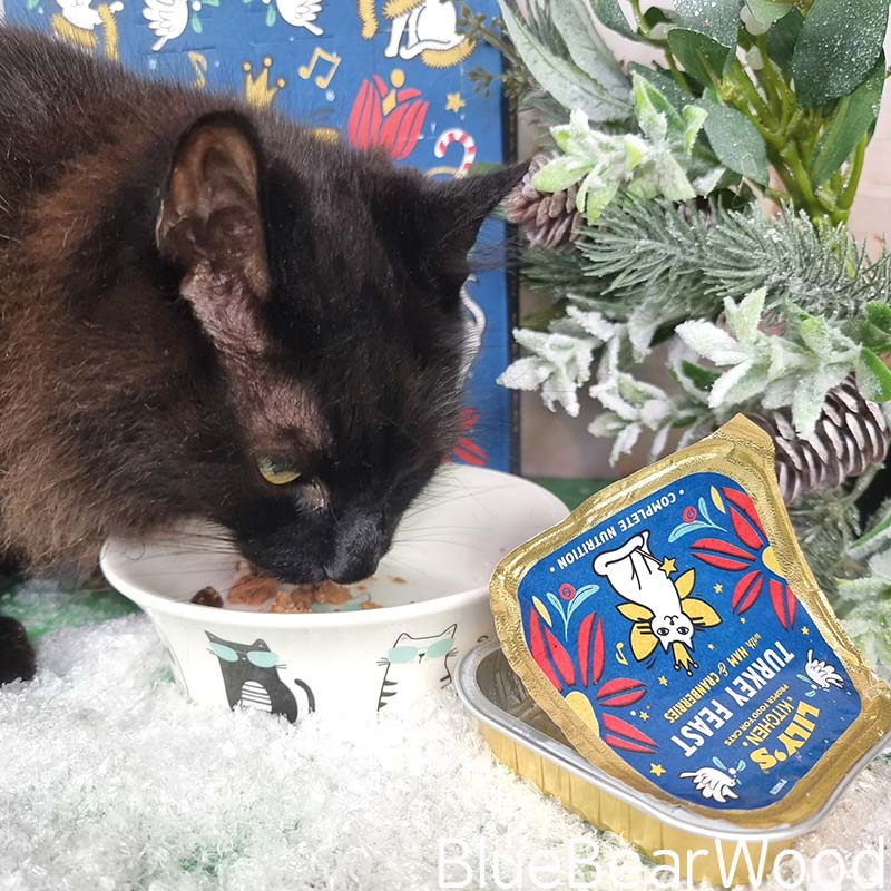 Lilys Kitchen Turkey Feast Cat Food